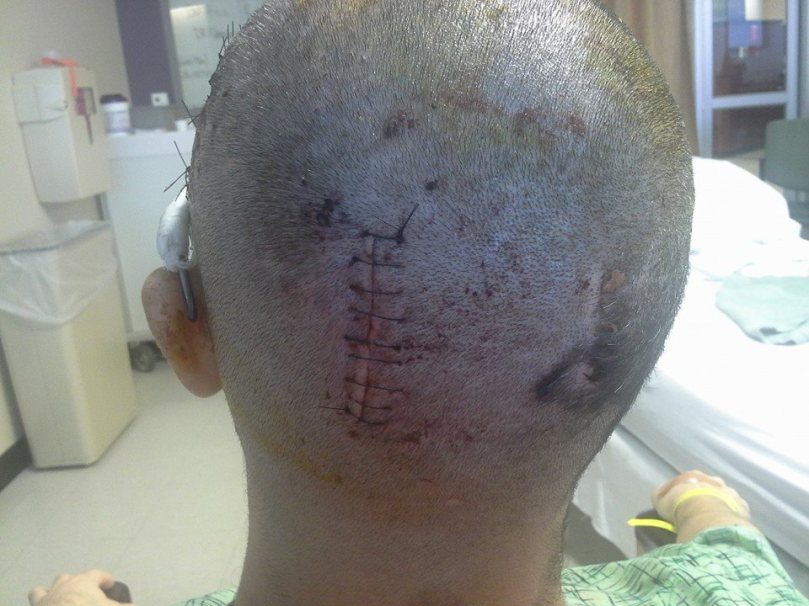 1800392_10152221659242360_296316279_n